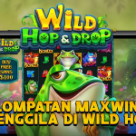 Lompatan Maxwin Menggila di Wild Hop