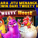 The Tweety House: Cara Jitu Menangkan Maxwin dariTweety House!